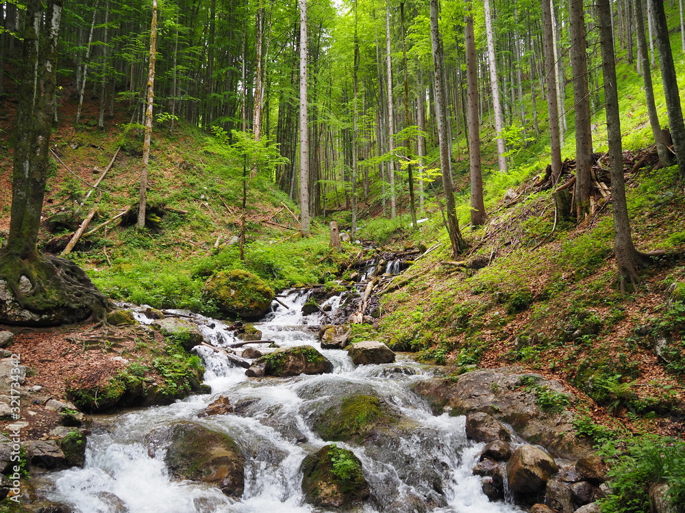 Fototapeta premium Nature in Austria