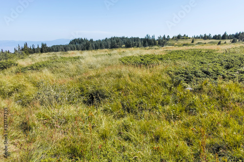 Autumn landscape of Vitosha Mountain, Bulgaria photo