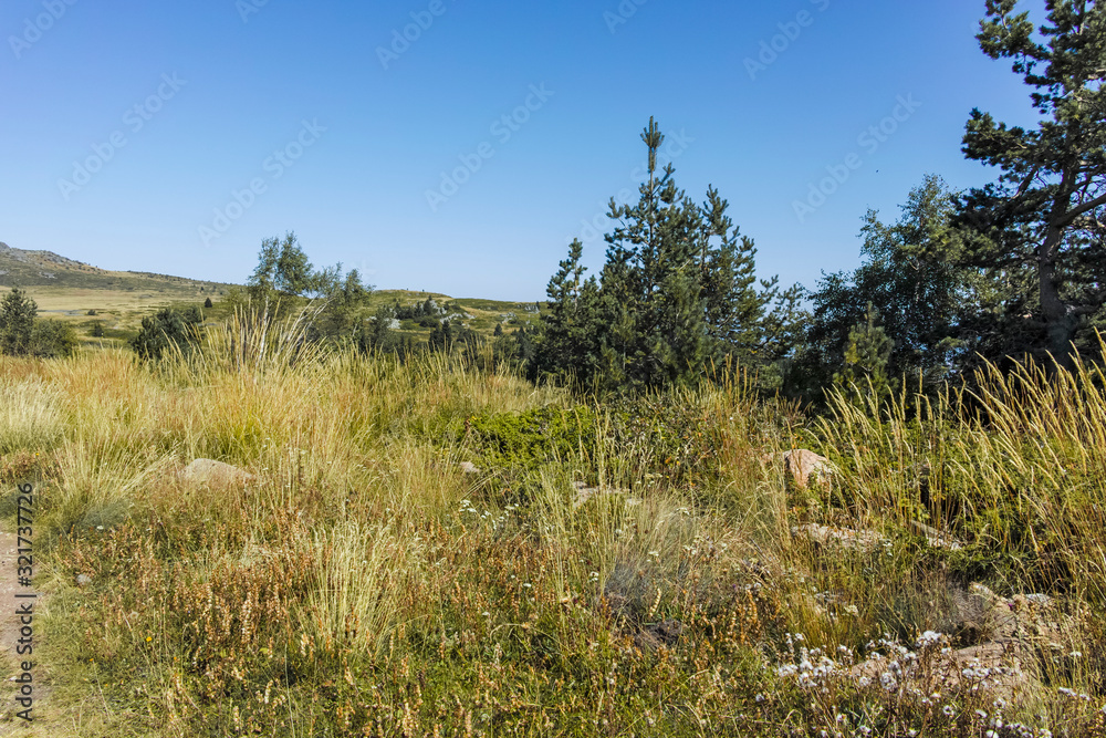 Autumn landscape of Vitosha Mountain, Bulgaria Autumn landscape of Vitosha Mountain, Bulgaria
