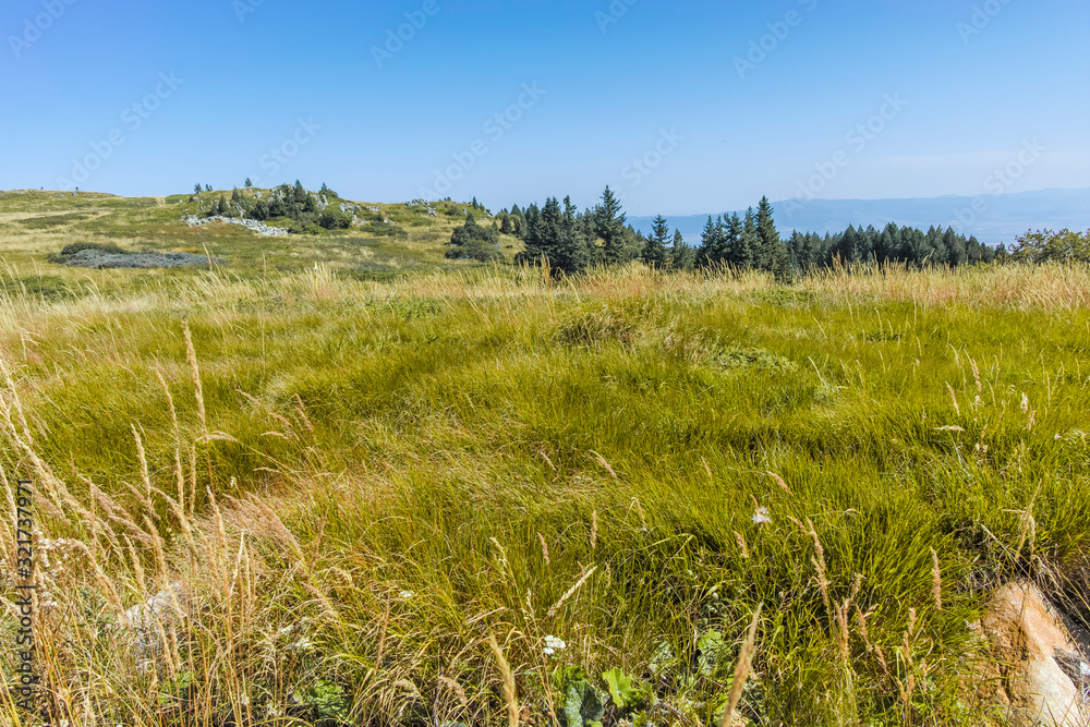 Autumn landscape of Vitosha Mountain, Bulgaria Autumn landscape of Vitosha Mountain, Bulgaria