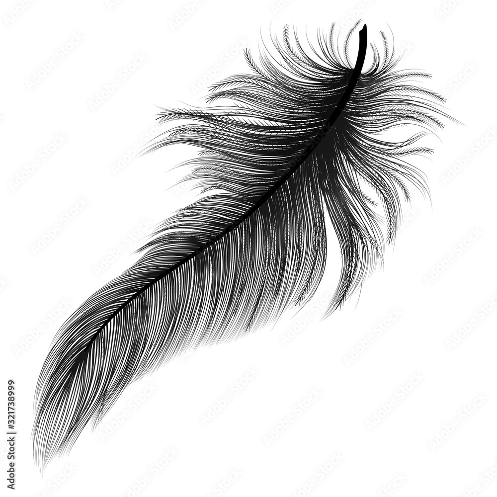 Obraz premium Feather isolated on white.Vector illustration.