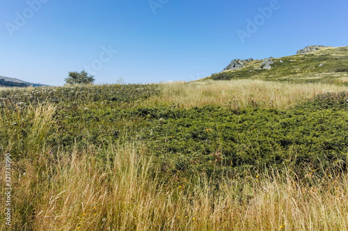 Autumn landscape of Vitosha Mountain  Bulgaria