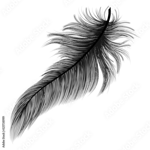 Feather isolated on white.Vector illustration.
