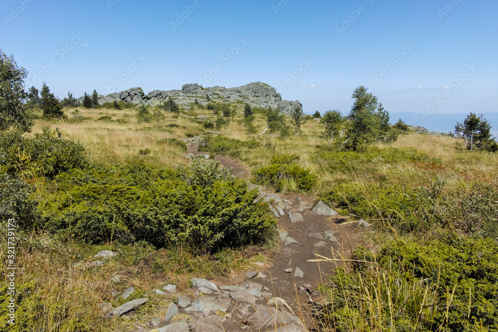 Autumn landscape of Vitosha Mountain, Bulgaria