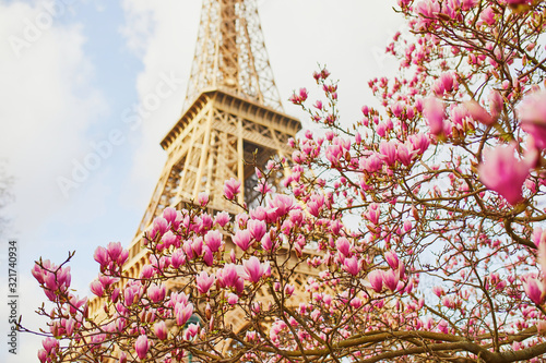 Pink magnolia in full bloom and Eiffel tower over the blue sky