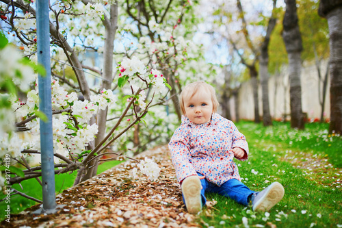 One year old girl sitting on the ground near apple trees in full bloom on a spring day