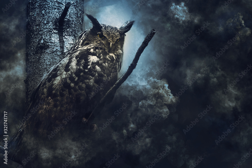 Naklejka premium Eule Mystic, Harry Potter