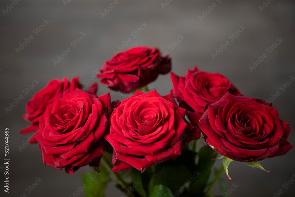 Obraz premium Red roses bunch on the moody background