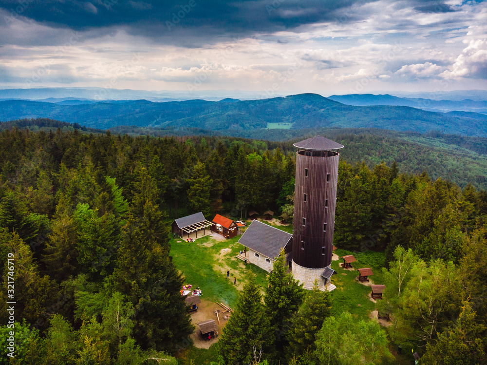 Borówkowa góra