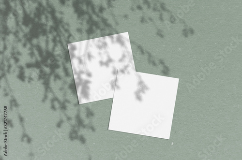 Business card Mockup. Natural overlay lighting shadows the leaves. Business cards 3.5x2 inch. Scene of Leaf Shadows.
