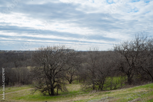 View of a Texas city park on a cloudy February day.