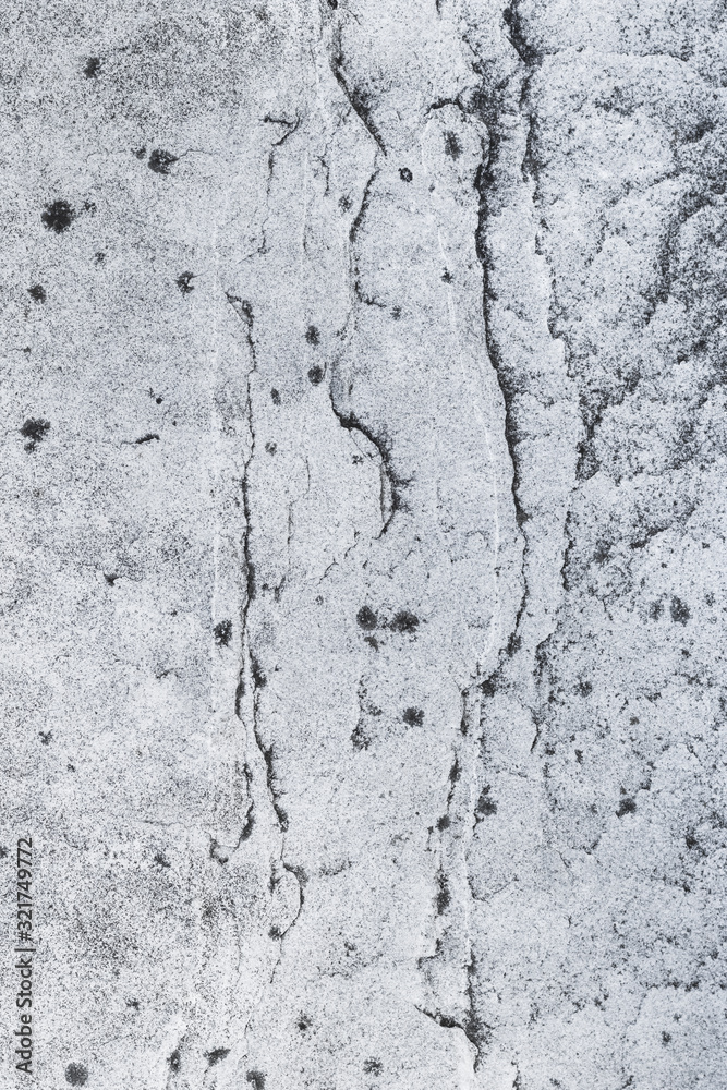 Mossy gray stone surface Mossy gray stone surface
