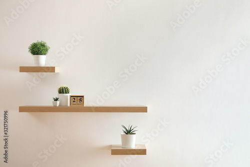 Wooden shelves with beautiful plants and calendar on light wall photo