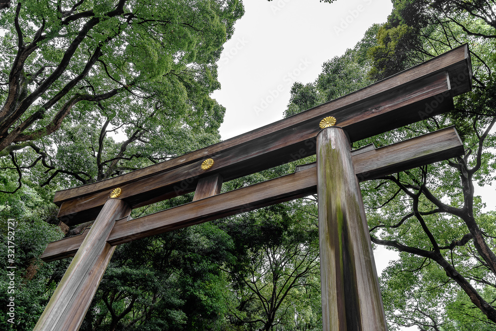 Japanese shrine wood torri gate with forest in background Japanese shrine wood torri gate with forest in background
