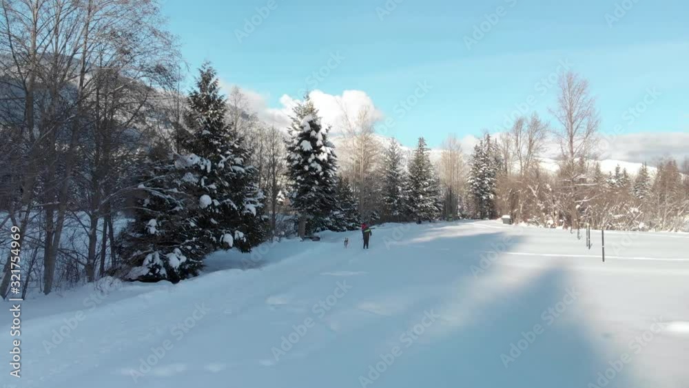 Aerial drone shot of a man cross country skiing in a snow covered forest with his dog with the mountains in the background. 4K 24FPS. Aerial drone shot of a man cross country skiing in a snow covered forest with his dog with the mountains in the background. 4K 24FPS.