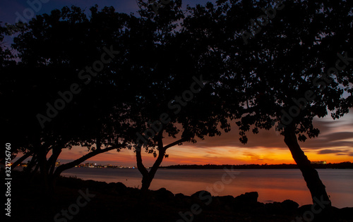 Sunset over the bay with trees at sunset. © ENRIQUE