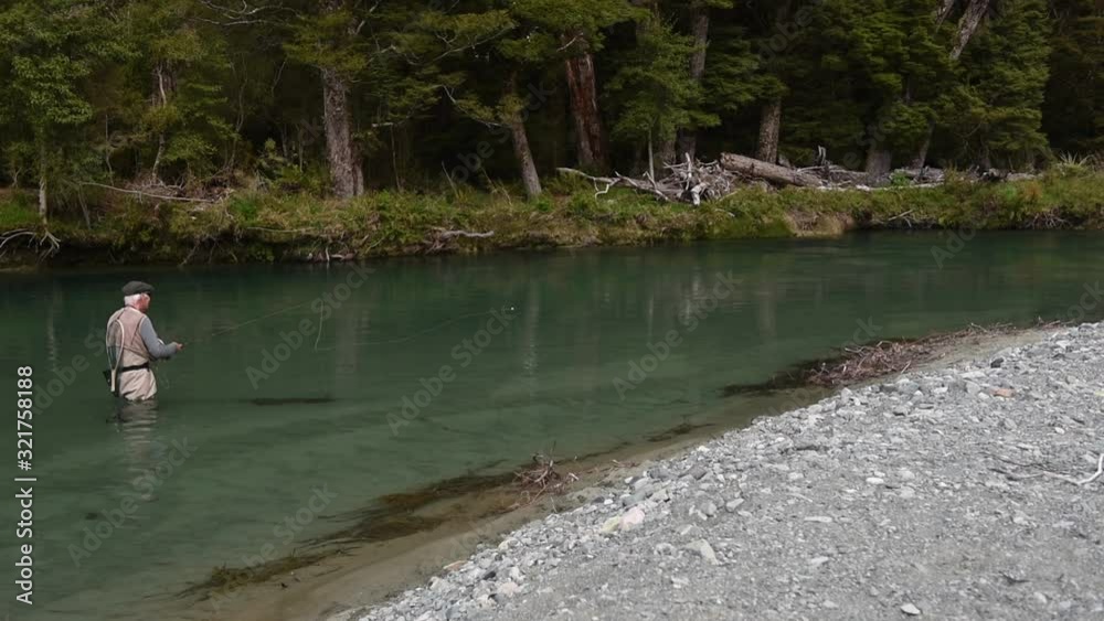Fly fisherman wading in a clear river and casting his nymph upstream. Dense rainforest on the riverbank behind. Eglinton River, Fiordland National Park, Southland, New Zealand. Fly fisherman wading in a clear river and casting his nymph upstream. Dense rainforest on the riverbank behind. Eglinton River, Fiordland National Park, Southland, New Zealand.