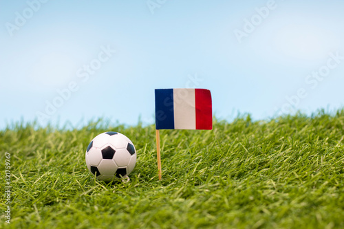 Football with flag of France on green grass
