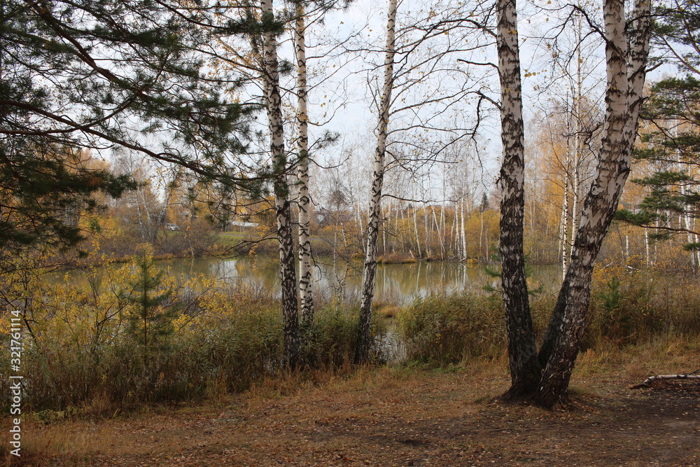 autumn forest picturesque natural landscape with trees dried grass by the lake autumn forest picturesque natural landscape with trees dried grass by the lake