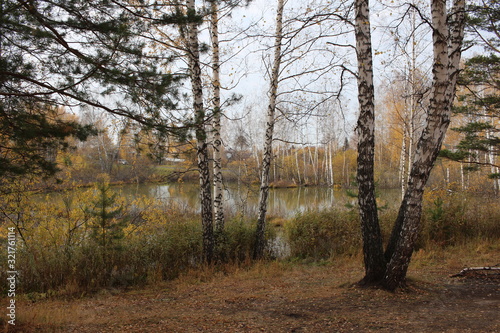 autumn forest picturesque natural landscape with trees dried grass by the lake © Алла Мосурова