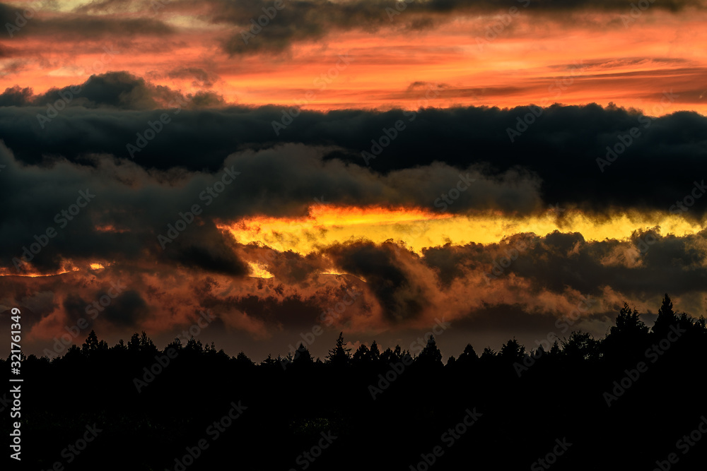 sunset on dark pine forest sunset on dark pine forest