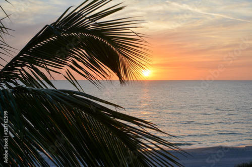 Sunset over the gulf of mexico as seen through tropical palm tree leaves. photo