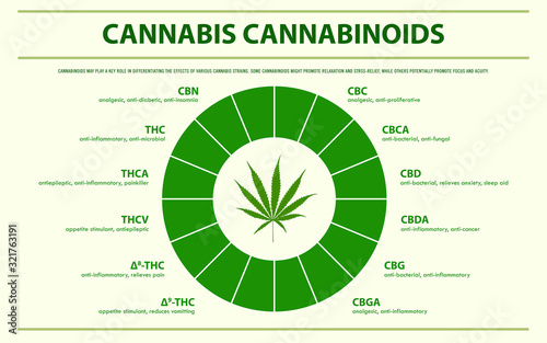 Cannabis Cannabinoids horizontal infographic illustration about cannabis as herbal alternative medicine and chemical therapy, healthcare and medical science vector.