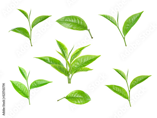 Plakat green tea leaf on white background