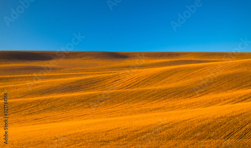 Landscape in Tuscany at in summer, italy