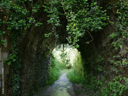 tunnel surrounded by green nature and sun at the end