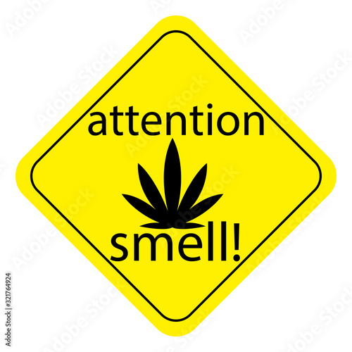 pungent smell of marijuana.