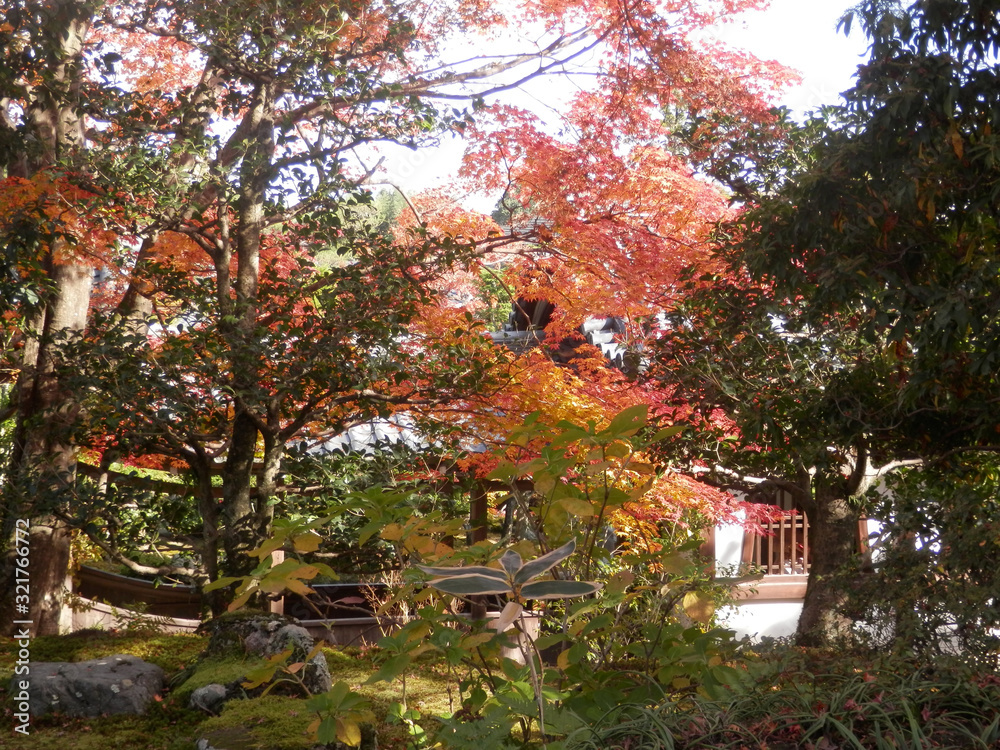 Autumnal colors in Kyoto temple garden