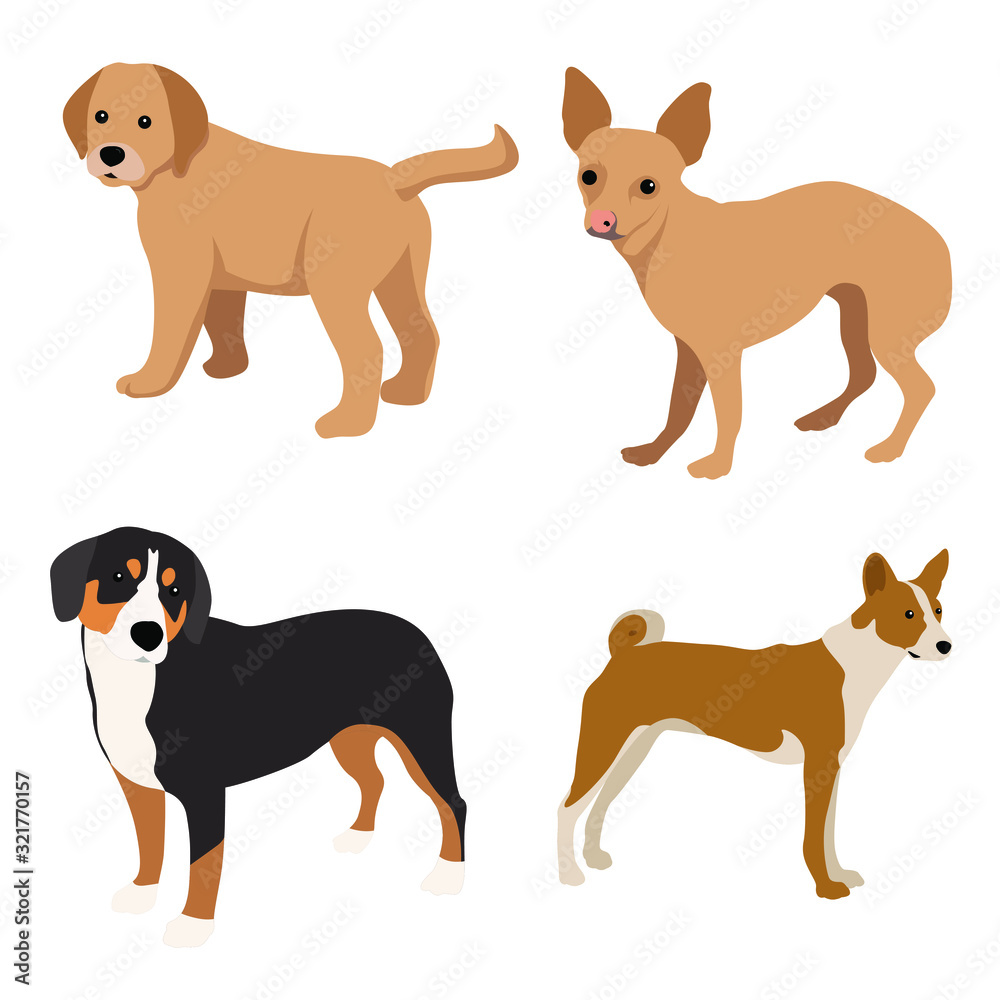 Dogs collection. Set of dogs. Vector illustration of funny cartoon. Isolated on white