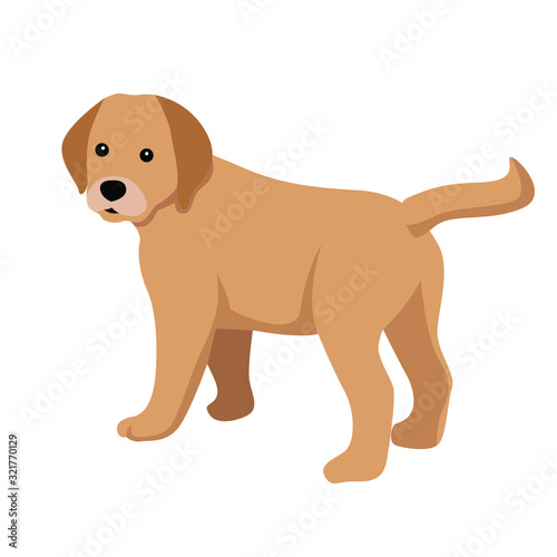 Dogs isolated Vector on white background