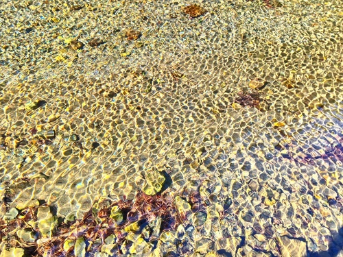 background of dry leaves