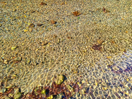 background of dry leaves