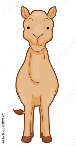 Camel Front View Illustration