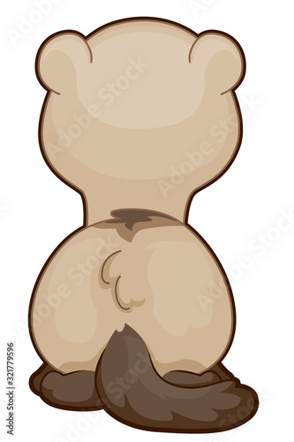 Ferret Back View Illustration