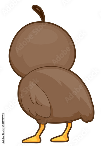 Quail Back View Illustration