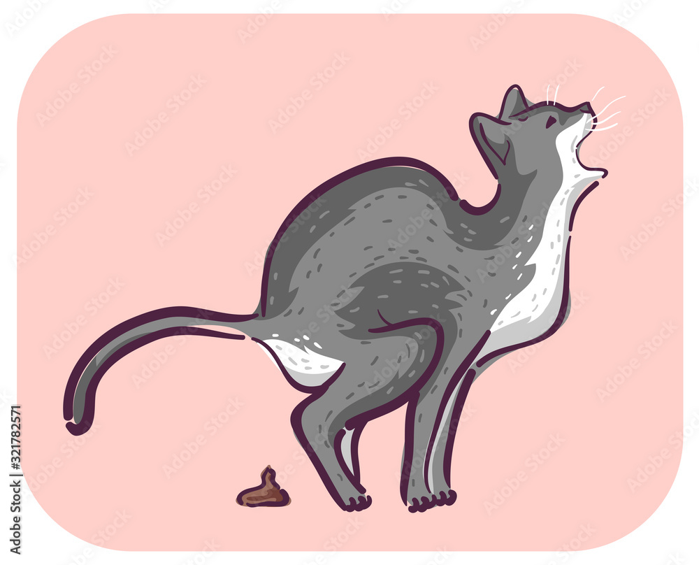 Cat Symptom Meow Pain Defecating Illustration Cat Symptom Meow Pain Defecating Illustration