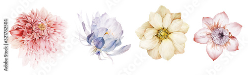 Flowers watercolor illustration.Manual composition.Big Set watercolor elements. photo