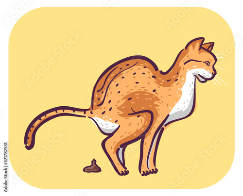 Cat Symptom Frequent Defecating Illustration