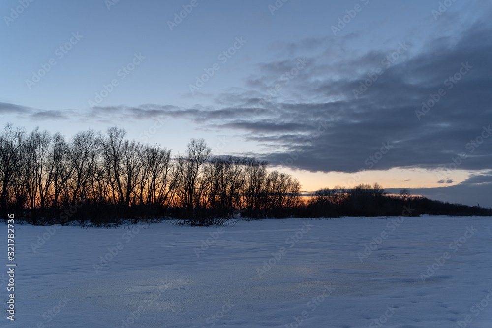 Winter landscape-frosty trees in a snow-covered birch forest on a Sunny morning. Calm winter nature in sunlight Winter landscape-frosty trees in a snow-covered birch forest on a Sunny morning. Calm winter nature in sunlight