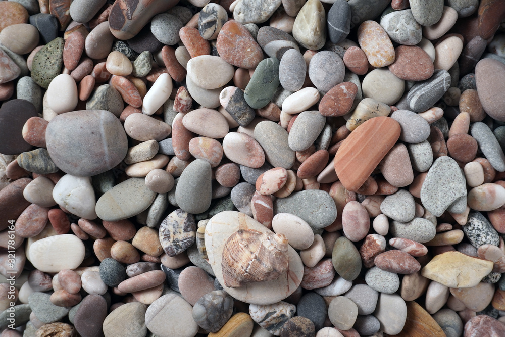 Gravel pattern of colored stones with shell. Abstract nature pebbles background.Small sea stones on the beach, vacation at sea. Top view 