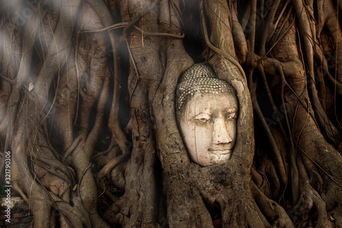 Buddha head overgrown by the roots of Bodhi tree.