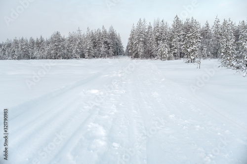 Winter landscape. Winter road through a snow-covered forest © Iurii