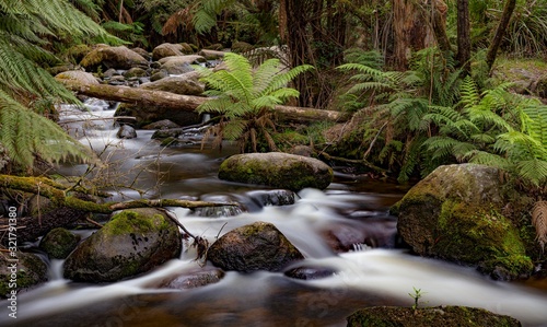 Cascades - Dandenong Ranges
