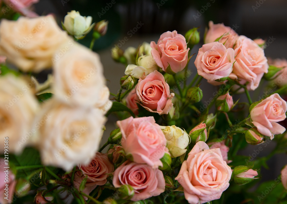 Bouquet with flower blossom. Floral background. Shallow depth photo. Soft toned colors.