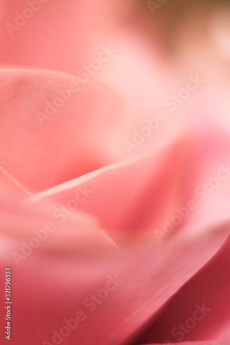 Defocused wallpaper for smartphone. Colorful blurred background with macro flowers.