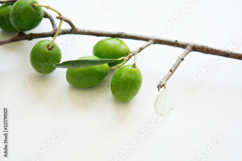 Olive branch with green olives isolated on white background.